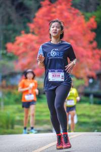 BIB: 8258
                            <button type="button" onclick="openModal(19239639)" class="btn btn-primary btn-sm float-right btn-popup" data-toggle="modal" data-target=".modal-high-quality">
                        <i class="fas fa-shopping-cart"></i> Add to Cart
                    </button>
                                            <button type="button" onclick="isThisMe(19239639, true)" class="btn btn-success btn-sm float-right btn-popup btn-isme hidden" data-toggle="tooltip" data-placement="bottom" title="นี่คือรูปของคุณใช่ไหม คลิกที่นี่เพื่อเอาเข้าอัลบั้ม">
                        <i class="fas fa-plus"></i> Add to album
                    </button>
                    <button type="button" onclick="isThisMe(19239639, false)" class="btn btn-warning btn-sm float-right btn-popup btn-isnotme hidden">
                        <i class="fas fa-ban"></i> Remove from album
                    </button>